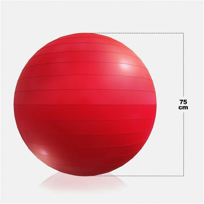 Gymnastikball 55 - 75 cm - Gorilla Sports DE